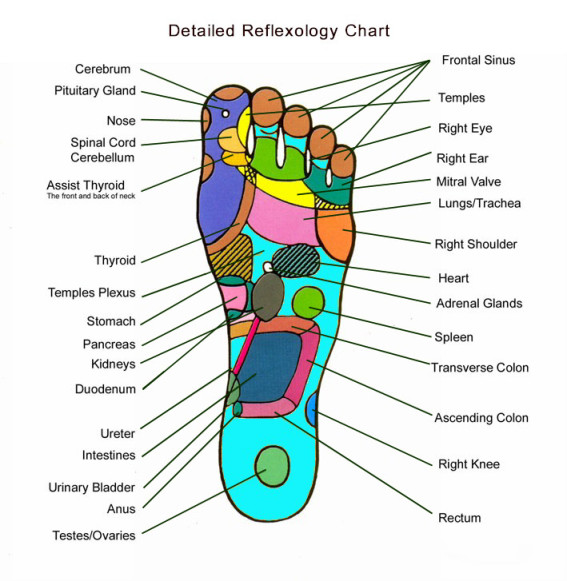 Hologram Theory in Acupuncture - Acupuncture Boston HolliBalance